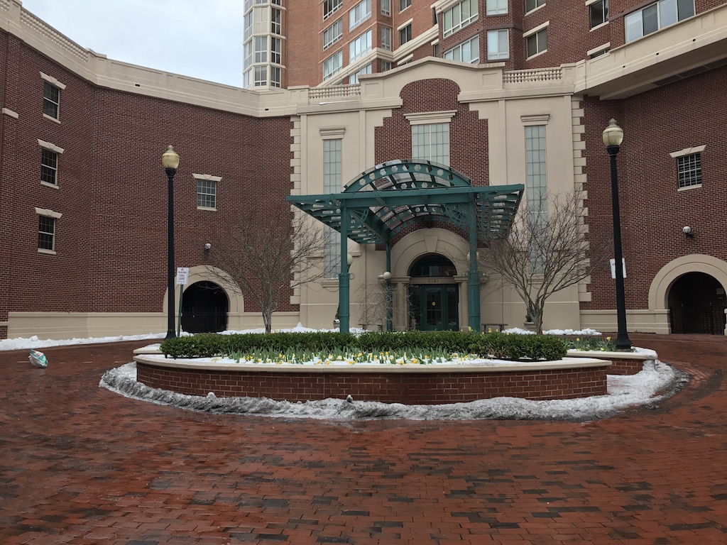 Snow day at Carlyle Towers Condominiums in Alexandria, Virginia